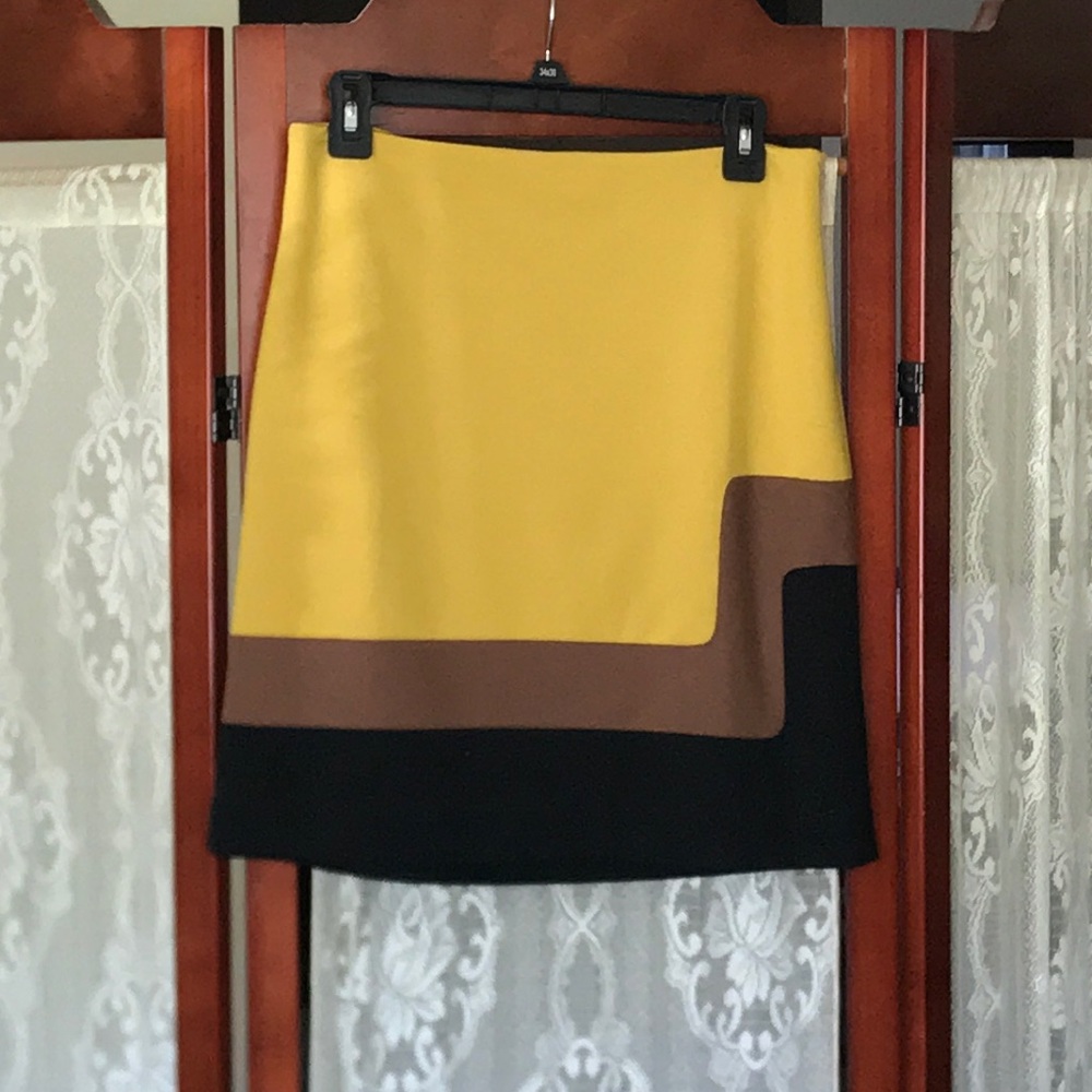Color Block Skirt